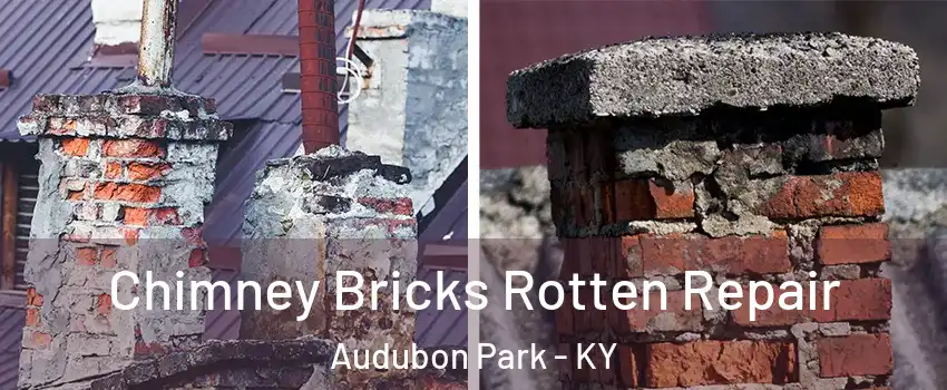 Chimney Bricks Rotten Repair Audubon Park - KY