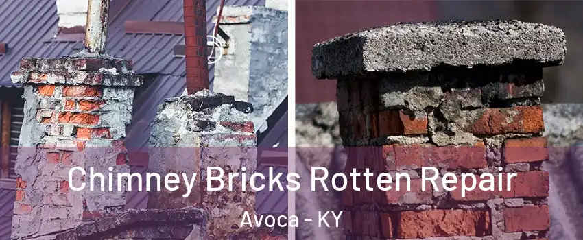 Chimney Bricks Rotten Repair Avoca - KY