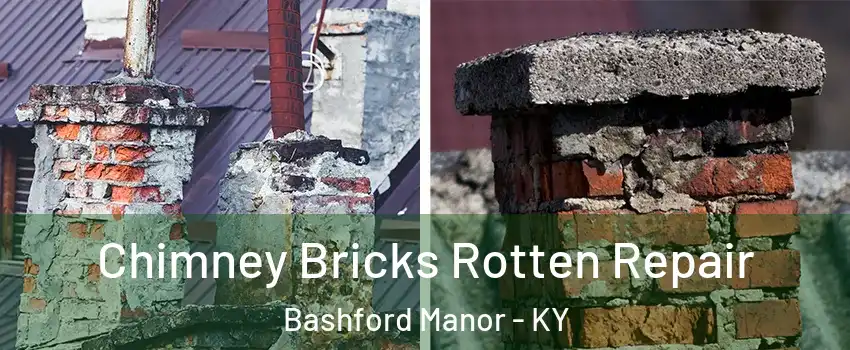 Chimney Bricks Rotten Repair Bashford Manor - KY