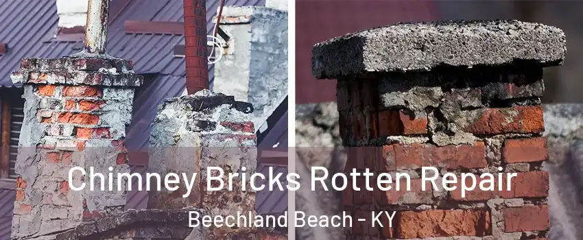 Chimney Bricks Rotten Repair Beechland Beach - KY