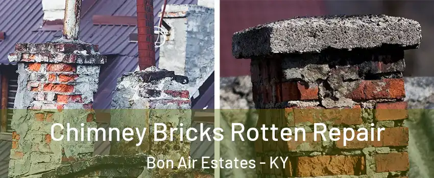 Chimney Bricks Rotten Repair Bon Air Estates - KY