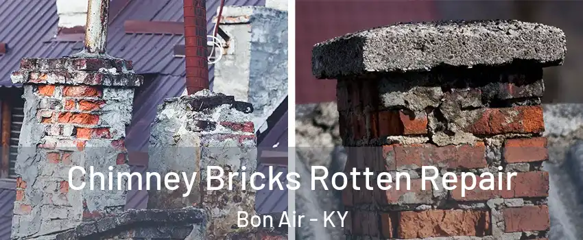 Chimney Bricks Rotten Repair Bon Air - KY