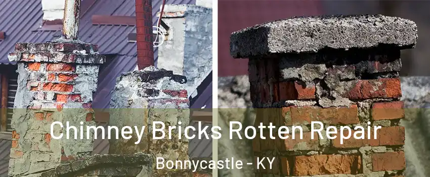 Chimney Bricks Rotten Repair Bonnycastle - KY