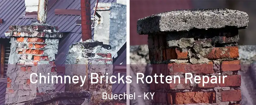 Chimney Bricks Rotten Repair Buechel - KY