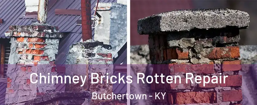 Chimney Bricks Rotten Repair Butchertown - KY