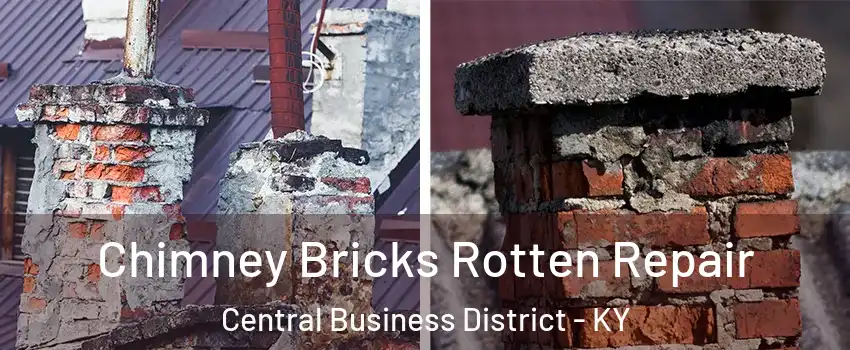 Chimney Bricks Rotten Repair Central Business District - KY