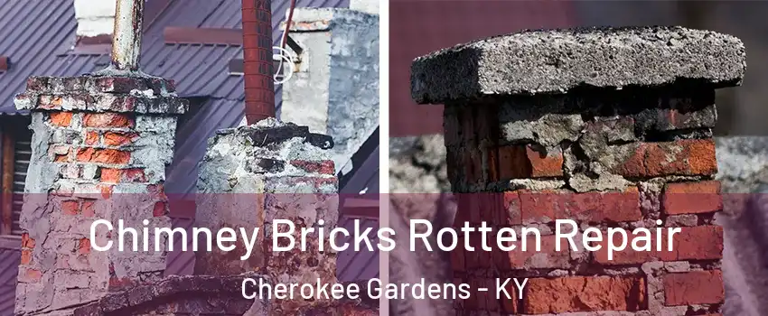 Chimney Bricks Rotten Repair Cherokee Gardens - KY