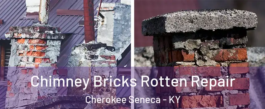 Chimney Bricks Rotten Repair Cherokee Seneca - KY