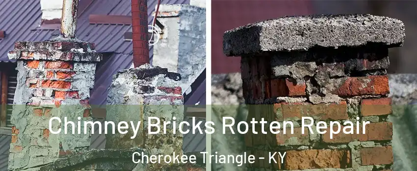 Chimney Bricks Rotten Repair Cherokee Triangle - KY