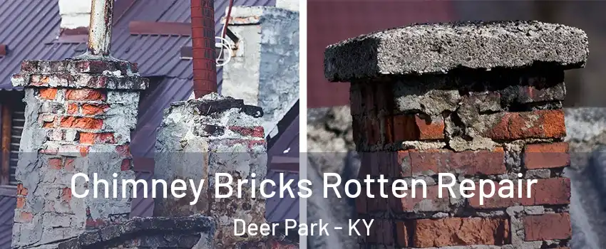 Chimney Bricks Rotten Repair Deer Park - KY