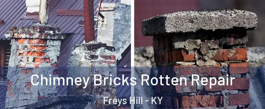 Chimney Bricks Rotten Repair Freys Hill - KY