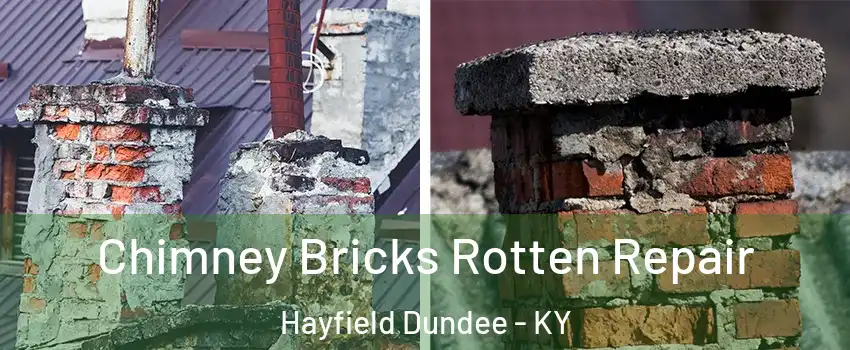 Chimney Bricks Rotten Repair Hayfield Dundee - KY