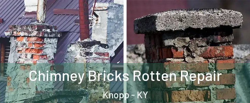 Chimney Bricks Rotten Repair Knopp - KY