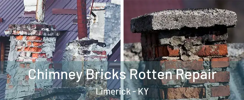 Chimney Bricks Rotten Repair Limerick - KY