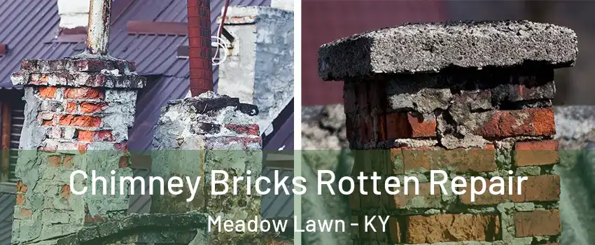 Chimney Bricks Rotten Repair Meadow Lawn - KY