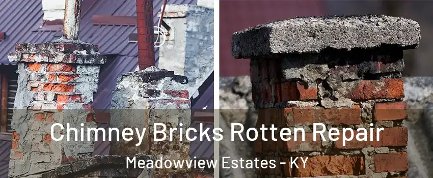 Chimney Bricks Rotten Repair Meadowview Estates - KY