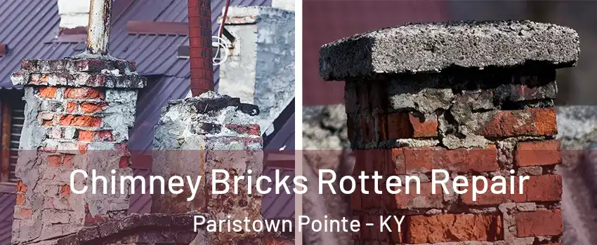 Chimney Bricks Rotten Repair Paristown Pointe - KY