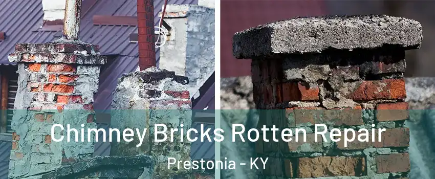 Chimney Bricks Rotten Repair Prestonia - KY