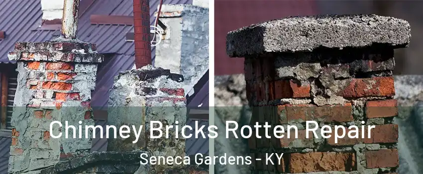 Chimney Bricks Rotten Repair Seneca Gardens - KY