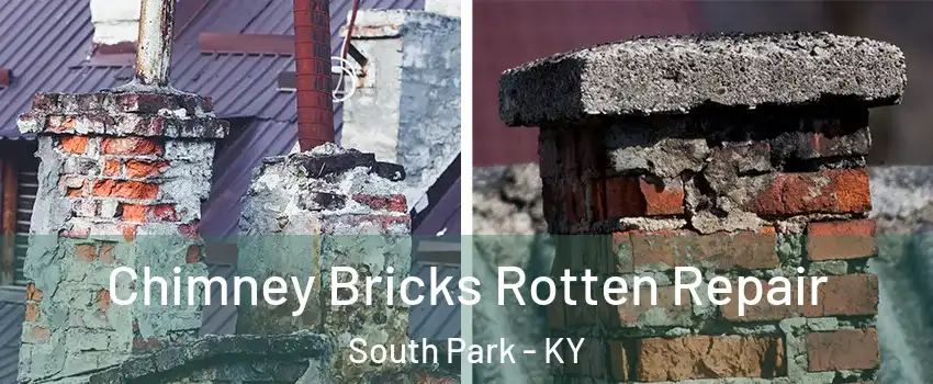 Chimney Bricks Rotten Repair South Park - KY