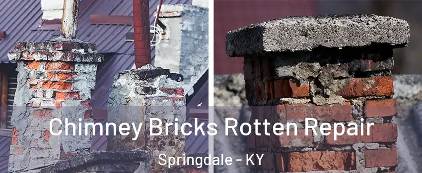 Chimney Bricks Rotten Repair Springdale - KY