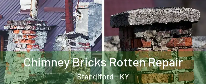 Chimney Bricks Rotten Repair Standiford - KY