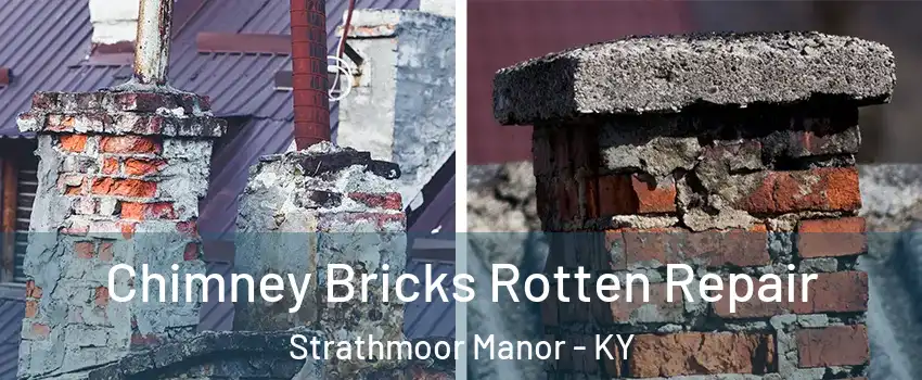 Chimney Bricks Rotten Repair Strathmoor Manor - KY