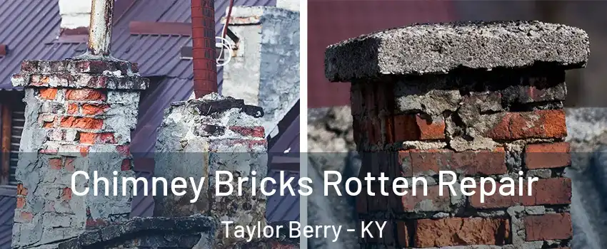 Chimney Bricks Rotten Repair Taylor Berry - KY