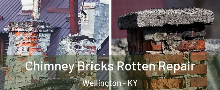 Chimney Bricks Rotten Repair Wellington - KY