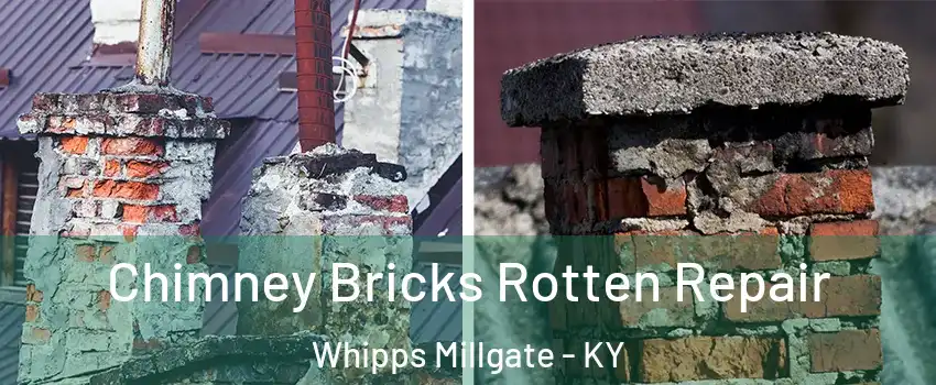 Chimney Bricks Rotten Repair Whipps Millgate - KY