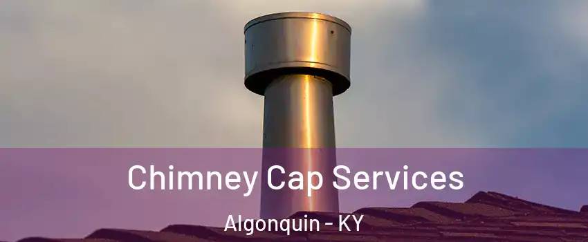 Chimney Cap Services Algonquin - KY