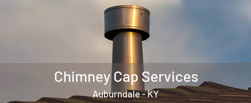 Chimney Cap Services Auburndale - KY