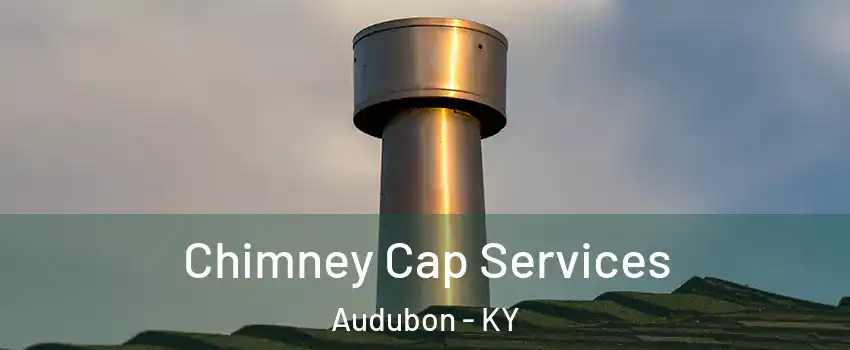 Chimney Cap Services Audubon - KY