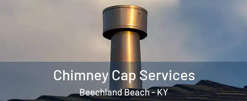 Chimney Cap Services Beechland Beach - KY