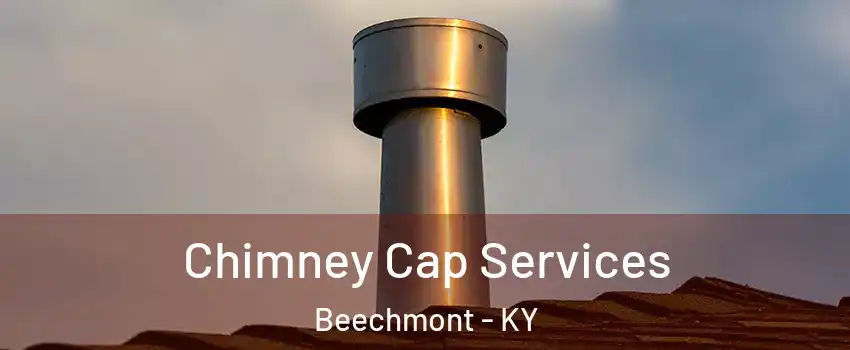 Chimney Cap Services Beechmont - KY