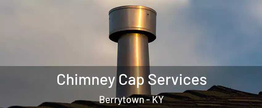 Chimney Cap Services Berrytown - KY