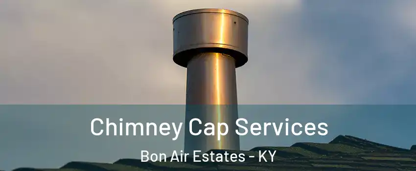 Chimney Cap Services Bon Air Estates - KY