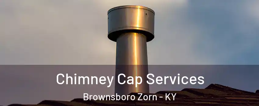 Chimney Cap Services Brownsboro Zorn - KY