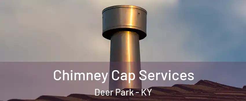 Chimney Cap Services Deer Park - KY