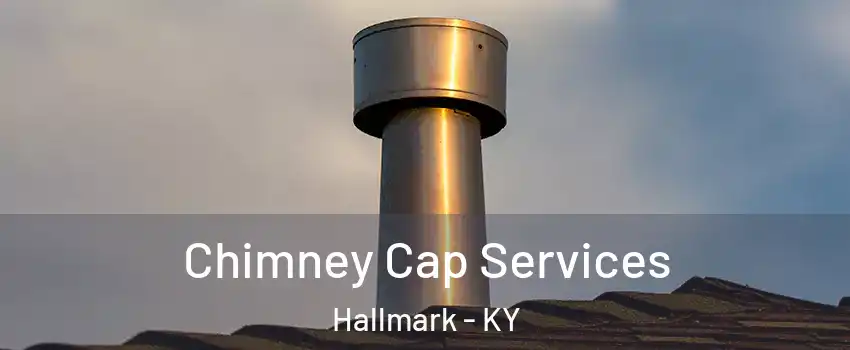 Chimney Cap Services Hallmark - KY