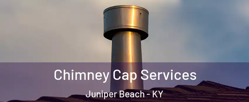 Chimney Cap Services Juniper Beach - KY