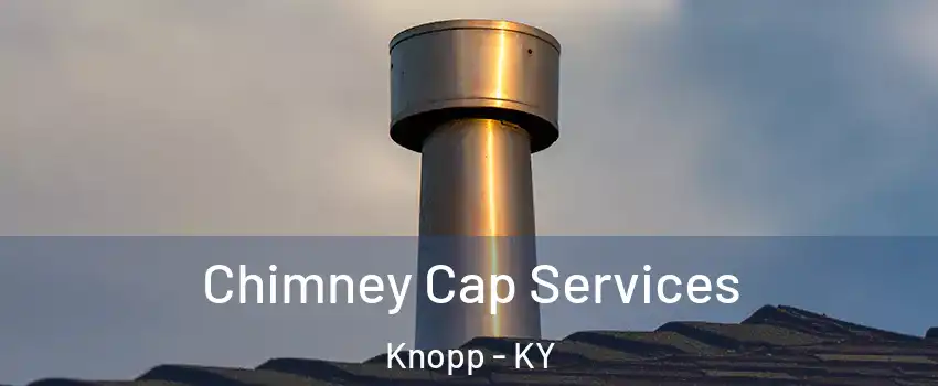 Chimney Cap Services Knopp - KY