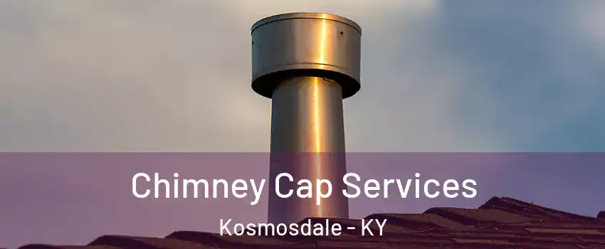 Chimney Cap Services Kosmosdale - KY