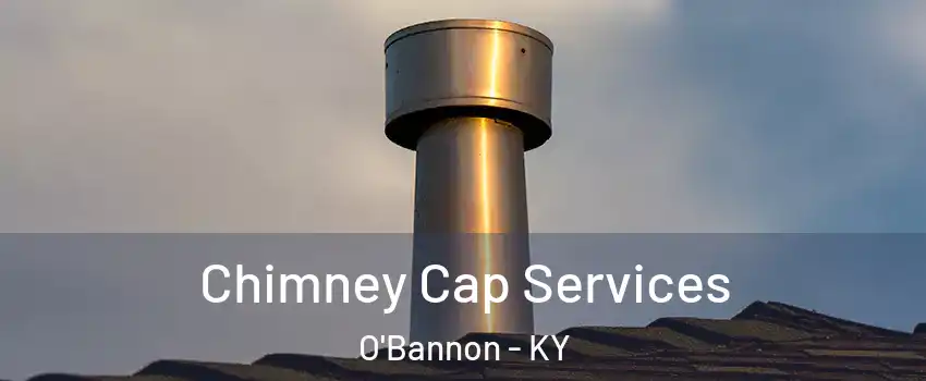 Chimney Cap Services O'Bannon - KY