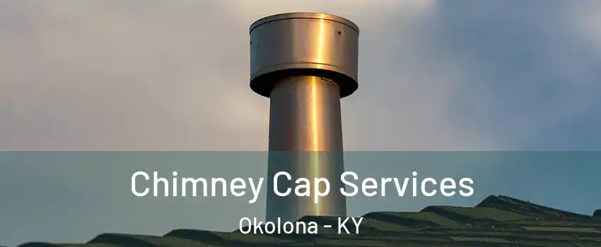 Chimney Cap Services Okolona - KY