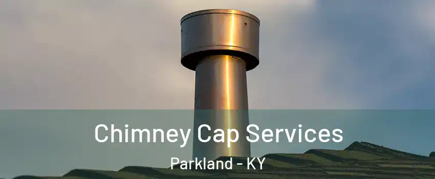 Chimney Cap Services Parkland - KY