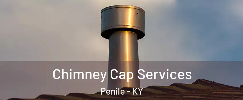 Chimney Cap Services Penile - KY