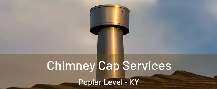 Chimney Cap Services Poplar Level - KY