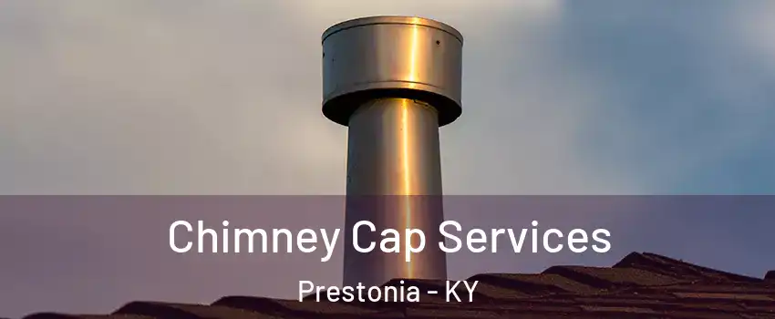 Chimney Cap Services Prestonia - KY