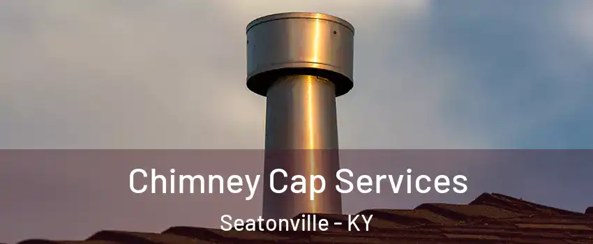 Chimney Cap Services Seatonville - KY